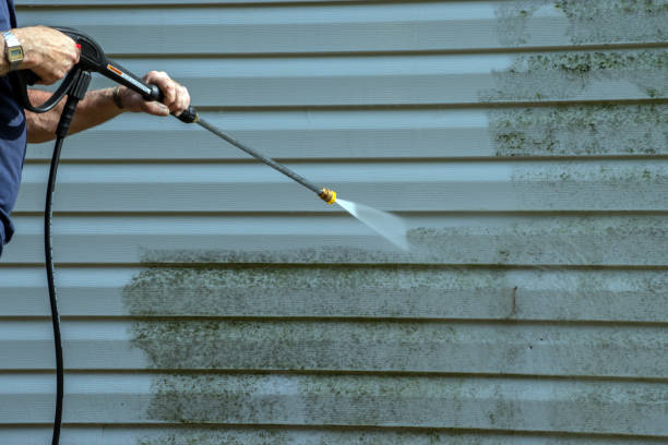 Best Sidewalk Pressure Washing  in Necedah, WI