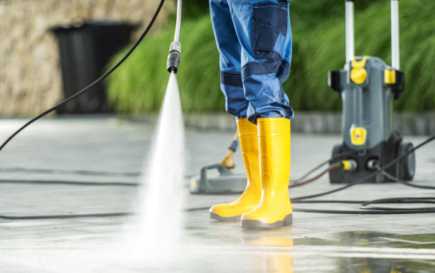 Best Affordable Pressure Washing  in Necedah, WI