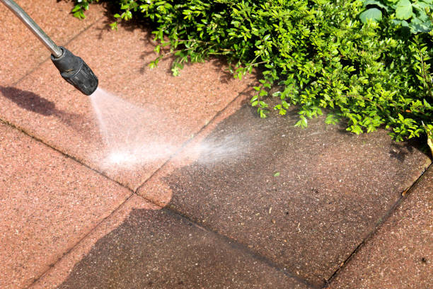 Best Pressure Washing Cost  in Necedah, WI