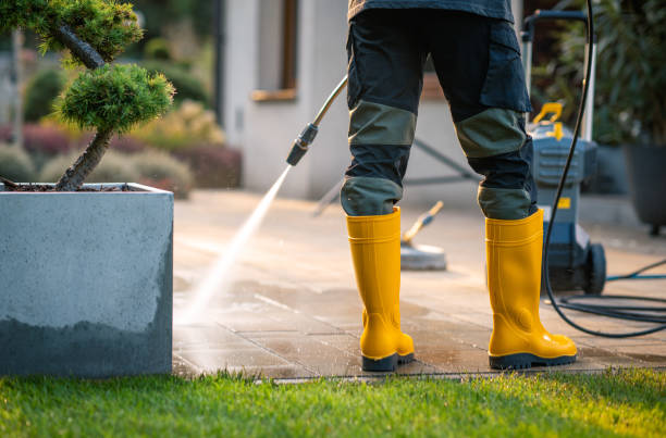 Best Residential Pressure Washing Services  in Necedah, WI